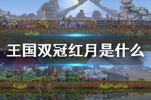 《王国两位君主》红月是什么 红月机制介绍