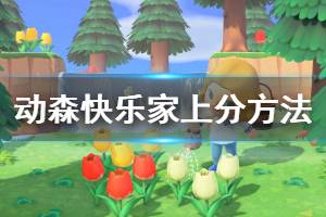《集合啦动物森友会》快乐家协会S级怎么达成 快乐家上分方法介绍 ...