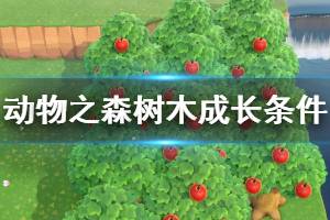 《集合啦动物森友会》树木如何成长 树木成长条件介绍