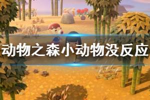 《集合啦动物森友会》小动物不回表情怎么办 小动物无反应解决方法介绍 ...