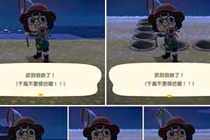 杨丞琳沉迷《动森》  分享半夜抓狼蛛历程