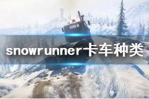 《雪地奔驰》卡车有哪些类型？卡车种类展示