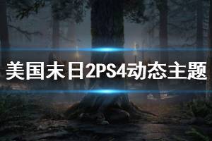 《美国末日2》PS4动态主题代码一览 PS4动态主题全服代码介绍