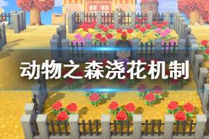 《集合啦动物森友会》浇花有什么用 浇花机制介绍