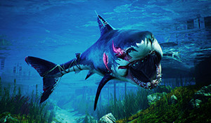 动作游戏《食人鲨》PC配置需求公布 最低仅需核显即可