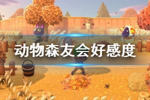 《集合啦动物森友会》好感度增减方法有哪些 好感度提升方法介绍 ...