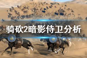 《骑马与砍杀2》暗影侍卫怎么用 暗影宫廷侍卫强度分析