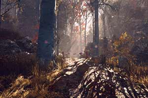 《终将归来》最高画质4K截图欣赏 幽寂森林令人心慌！