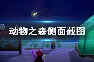 《集合啦动物森友会》怎么从侧面截图 侧面截图方法介绍