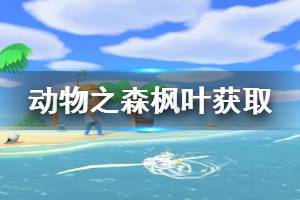 《集合啦动物森友会》枫叶怎么获得 枫叶获取方法介绍