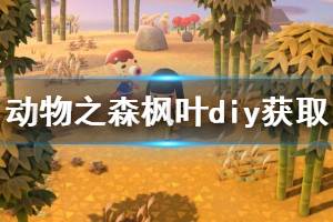 《集合啦动物森友会》枫叶diy怎么获得 枫叶diy获取方法介绍