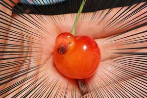 这怎么下嘴？日本网友分享奇形怪状的食物 惊喜连连!