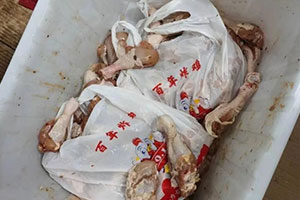 污水横流令人作呕！食监部查处炸鸡原料违法加工厂
